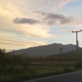 รูปโพรไฟล์ของ BackRosee