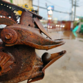 รูปโพรไฟล์ของ nutnun1