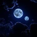 รูปโพรไฟล์ของ The_LittleMoon