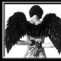 expensive_free
