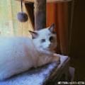 รูปโพรไฟล์ของ Onyour_A