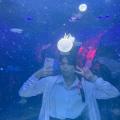 รูปโพรไฟล์ของ NK-Daisy