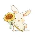 รูปโพรไฟล์ของ ladysunflower