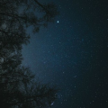รูปโพรไฟล์ของ Dark-0