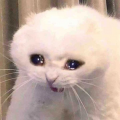รูปโพรไฟล์ของ mocom