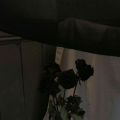 รูปโพรไฟล์ของ back_roses