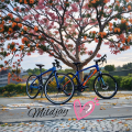รูปโพรไฟล์ของ Mildjayy