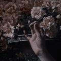 รูปโพรไฟล์ของ pickaflower