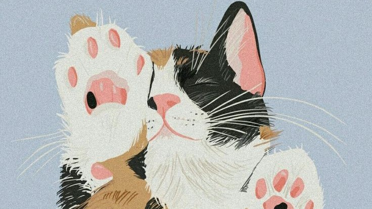 ปกนิยาย แปล