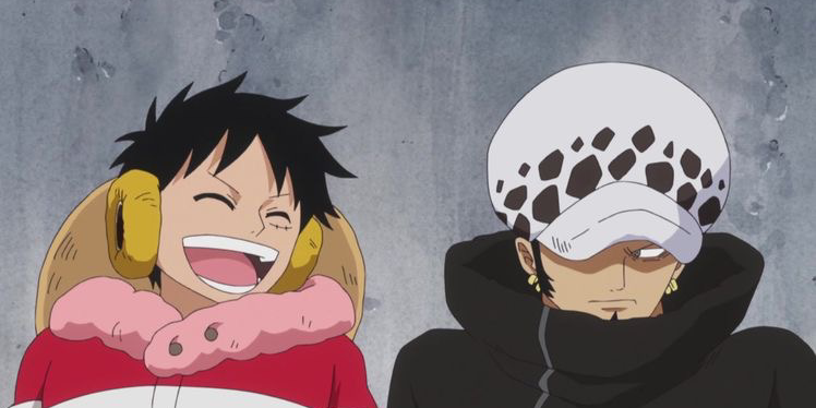 ปกคอลเล็กชัน วันพืช