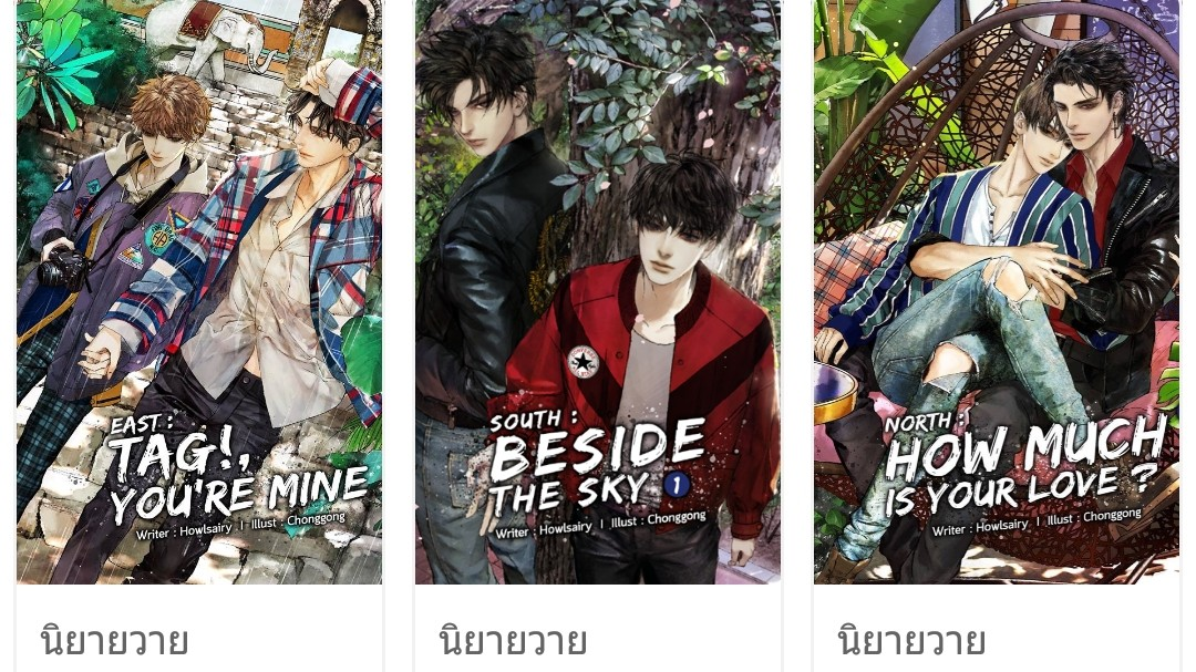 ปกนิยาย howlsairy