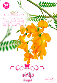 เอื้อมรุ้งมาทอรัก