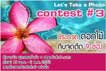 Let's Take a Photo Contest # 3