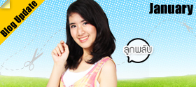 Blog : ปีใหม่สีเทา...