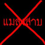 ประสบการณ์แห่งแมลงสาบ