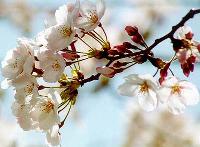 วันเวลาที่ผ่านไป