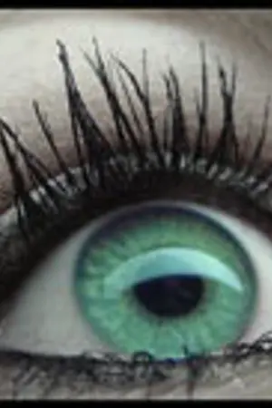 ปกนิยาย แจกคลิปวิดีโอใน Barbie/Disney Animetion