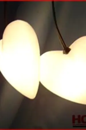 ปกนิยาย เชื่อหรือไม่ แมลงสาบคือมนุษย์ต่างดาว !!!