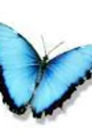 ปกนิยาย <font color="#99cc00">+Theme***บทความ+</font>