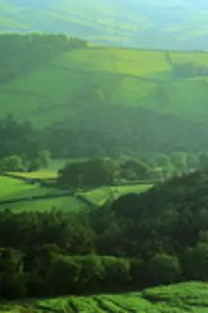 ปกนิยาย บันทึกเอาไว้ในผืนแผ่นดิน