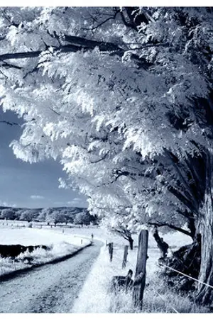 ปกนิยาย กาลครั้งหนึ่ง...เราเคยรักกัน