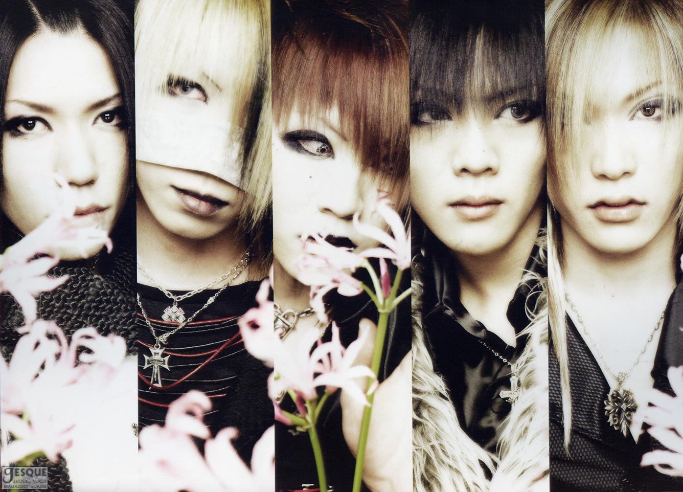 Cassis the Gazette