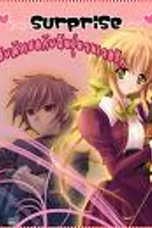 ปกนิยาย My hero  รักวัยโจ๋ของนายขี้โม้ กับ ยัยโก๋เก๋