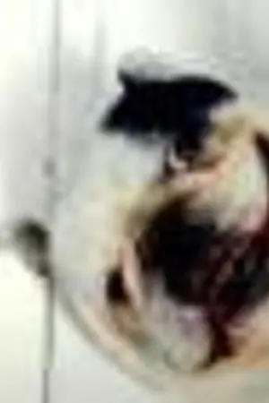 ปกนิยาย Love Game! [Yuri]