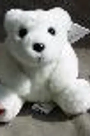 ปกนิยาย รีวิว+คอมเมนต์ อนิเมยูริ anime yuri