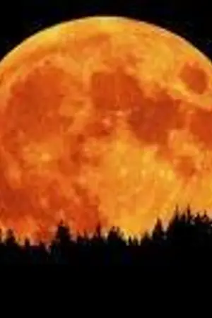 ปกนิยาย ความทรงจำแห่งอิริส หลุยส์(odd)