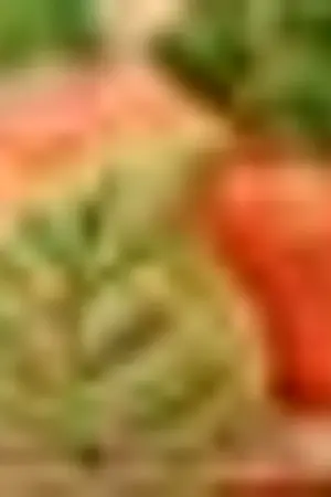 ปกนิยาย Kitchen ห้องครัว : โรงเรียนปลาดิบ