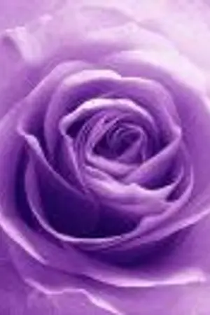 ปกนิยาย เมื่อแฟนฉันเป็นเกย์!! (How-to)