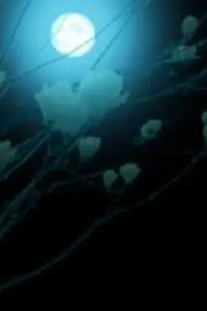 ปกนิยาย Marine, Diary of love.  ขอแค่ได้รัก...