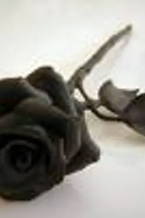 ปกนิยาย FaNFiCTiON : Yaoi >> ยำเรื่องมาจับจิ้น Yaoi