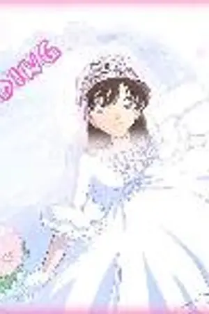 ปกนิยาย สารพันเรื่องใกล้ตัว