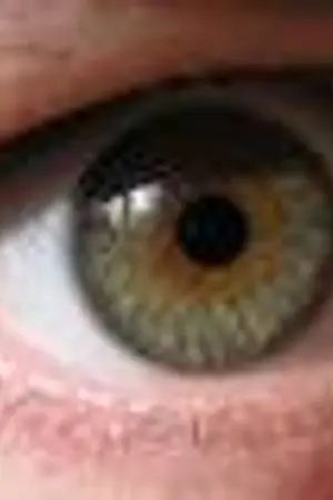 ปกนิยาย ดวงตาสีดำ กับ คฤหาสน์สีขาว