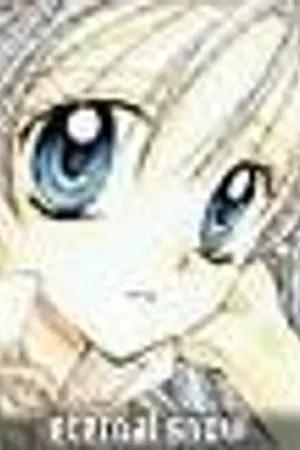 ปกนิยาย การพบกันของเราสอง...