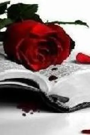 ปกนิยาย You Kill me