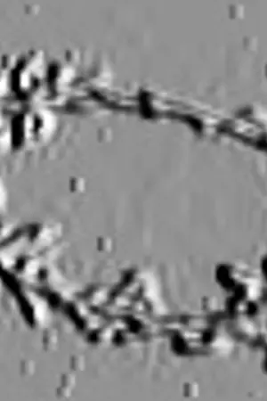 ปกนิยาย ใครคือพระเจ้าแผ่นดินพระองค์แรกในคาบสมุทรอิตาลี??