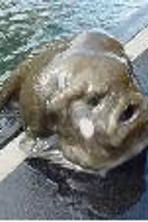 ปกนิยาย ห้องส่วนตัวครับ