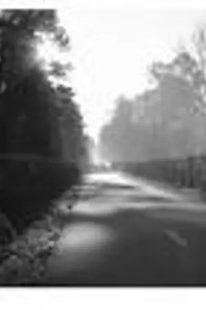 ปกนิยาย รักจมใจ