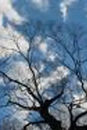 ปกนิยาย The last  love