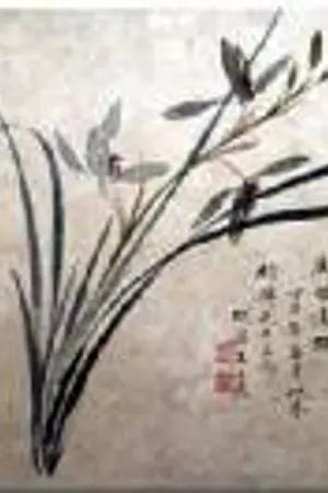 ปกนิยาย Fei Hu da ying xiong  ยอดพยัคฆ์ยุทธจักร