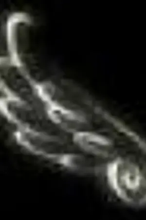 ปกนิยาย โค้ดเมาส์สวยๆ(มั้ง)ครับ