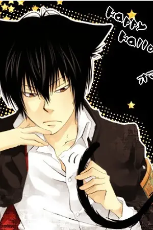 ปกนิยาย แหล่งรวมโดจิน รูปภาพ และฟิคการ์ตูนรีบอร์น