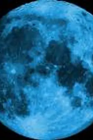 ปกนิยาย -ห้องเก็บของ-