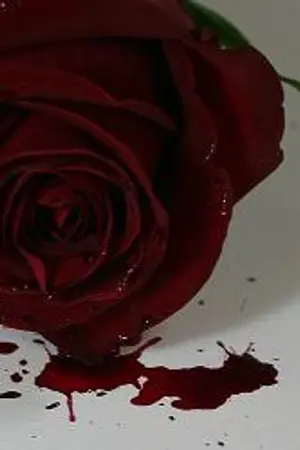 ปกนิยาย The Revenge Project (yaoi)