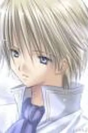 ปกนิยาย The prince parade.