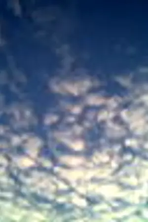 ปกนิยาย (นี่)เป็นเพียงของเล็กๆน้อยๆจากใจ