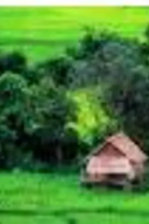 ปกนิยาย <b><font color=#ff0099>.:II:.บอดี้การ์ด บ้านไร่.:II:.